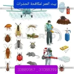 Pest Control in Qatar