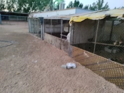 Farms For Rent in Sharjah Emirate Emirates