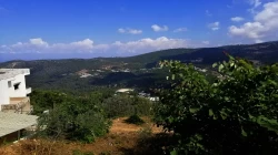 Lands For Sale in Byblos  »  Jbeil Caza  »  Mount Lebanon