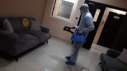 Pest Control in Abu Dhabi Emirates