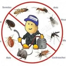 Pest Control in Jeddah Saudi Arabia