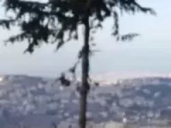 Lands For Sale in Baabda  »  Baabda Caza  »  Mount Lebanon