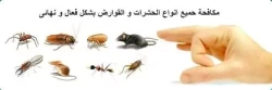 Pest Control in Riyadh Saudi Arabia