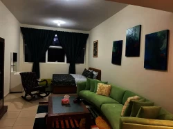 Studios For Rent in Ajman  »  Ajman Emirate