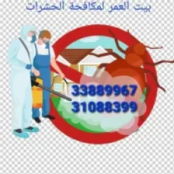 Pest Control in Qatar