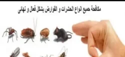 Pest Control in Riyadh Saudi Arabia