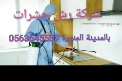 Pest Control in Medina Saudi Arabia