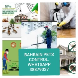 Pest Control in Bahrain