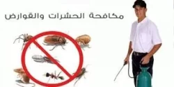 Pest Control in Aseer Province Saudi Arabia