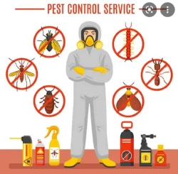 Pest Control in Abu Dhabi Emirates