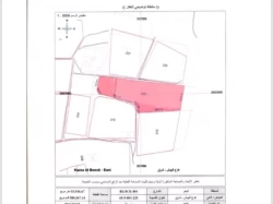 Farms For Sale in Al Ain Emirates