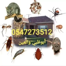 Pest Control in Abu Dhabi Emirates