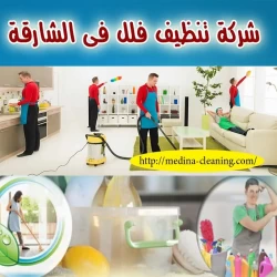 Cleaning Services in Sharjah Emirate Emirates