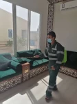 Pest Control in Qatar