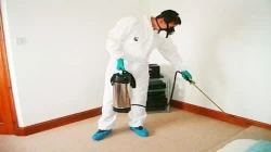 Pest Control in Riyadh Saudi Arabia