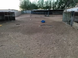 Farms For Rent in Sharjah Emirate Emirates