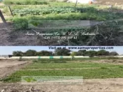 Farms For Rent in Hamala  »  Northern Governorate