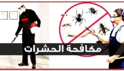 Pest Control in Jeddah Saudi Arabia