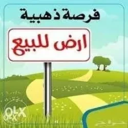 Lands For Sale in Ajman  »  Ajman Emirate