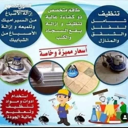 Cleaning Services in Sharjah Emirate Emirates