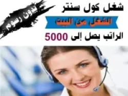 Marketing Service in Alexandria Egypt