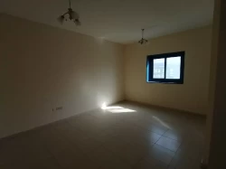 Apartments For Rent in Ajman  »  Ajman Emirate