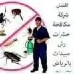 Pest Control in Dammam Saudi Arabia