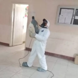 Pest Control in Abu Dhabi Emirates