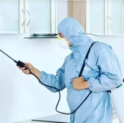 Pest Control in Sharjah Emirate Emirates