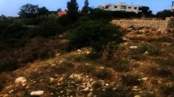 Lands For Sale in Byblos  »  Jbeil Caza  »  Mount Lebanon