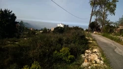 Lands For Sale in Jounieh  »  Kesrouane  »  Mount Lebanon