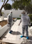 Pest Control in Abu Dhabi Emirates