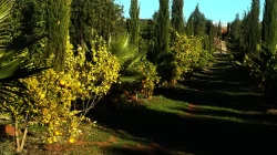 Farms For Sale in Morocco