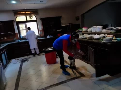 Pest Control in Dubai Emirate Emirates