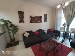 Furnished apartments For Rent in Ajman  »  Ajman Emirate