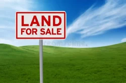 Lands For Sale in Ajman Emirate Emirates