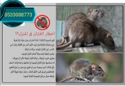 Pest Control in Aseer Province Saudi Arabia