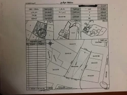 Lands For Sale in Emirates City  »  Ajman  »  Ajman Emirate