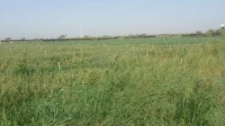 Farms For Sale in Sharjah Emirate Emirates