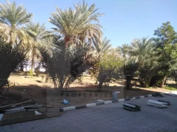 Villas and houses For Rent in Falaj Hazzaa  »  Al Ain  »  Eastern Region  »  Abu Dhabi Emirate