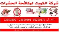 Pest Control in Kuwait City