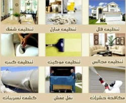 Pest Control in Jeddah Saudi Arabia