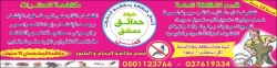 Pest Control in Abu Dhabi Emirates