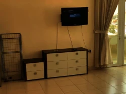 Studios For Rent in Khalifa City  »  Abu Dhabi  »  Abu Dhabi Emirate