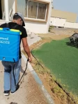 Pest Control in Abu Dhabi Emirates