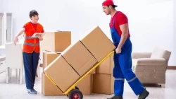 Removal Services in Dubai Emirate Emirates