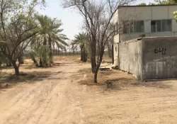 Farms For Sale in Ajman  »  Ajman Emirate