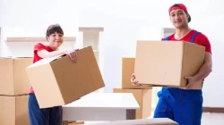 Removal Services in Dubai Emirate Emirates