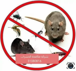 Pest Control in Qatar