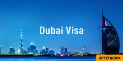 Travel Services & Tours in Abu Dhabi Emirates